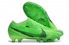 Nike Air Zoom Mercurial Vaoir 15 Dream Speed Elite AG - Green Strike/Stadium Green/Black
